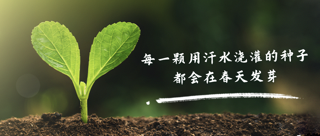 【新春贺词】每一颗用汗水浇灌的种子，都会在春天发芽